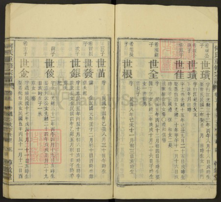 安徽省安庆市怀宁县江镇镇何氏惇叙堂族谱-何氏重修宗谱.pdf电子版插图5