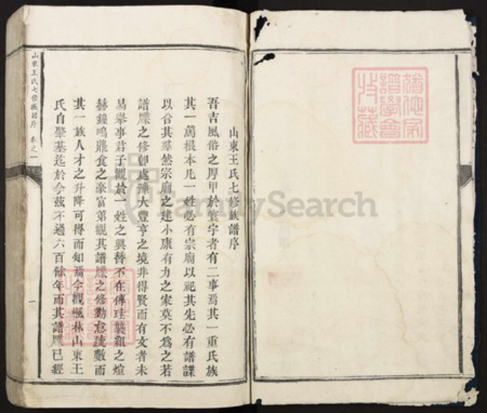 江西省吉安市泰和市沿溪镇王氏光裕堂族谱-山东王氏七修族谱.pdf电子版插图4