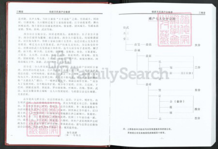 湖北省黄冈市罗田县河铺镇王氏三槐堂族谱-伯武王氏宗谱.pdf电子版插图5