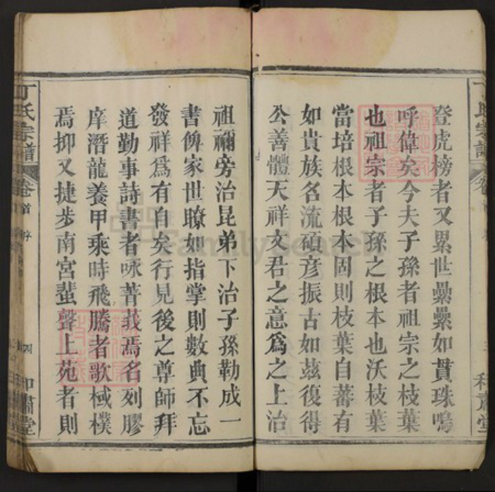 湖北省黄冈市黄州区湖北省黄冈市麻城市丁氏和肃堂族谱-丁氏宗谱.pdf电子版插图4