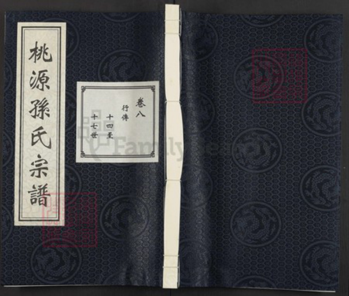 浙江省杭州市萧山区孙氏族谱-桃源小湖孙氏宗谱.pdf电子版插图