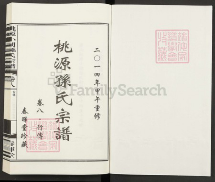 浙江省杭州市萧山区孙氏族谱-桃源小湖孙氏宗谱.pdf电子版插图1