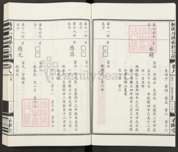浙江省杭州市萧山区孙氏族谱-桃源小湖孙氏宗谱.pdf电子版插图4