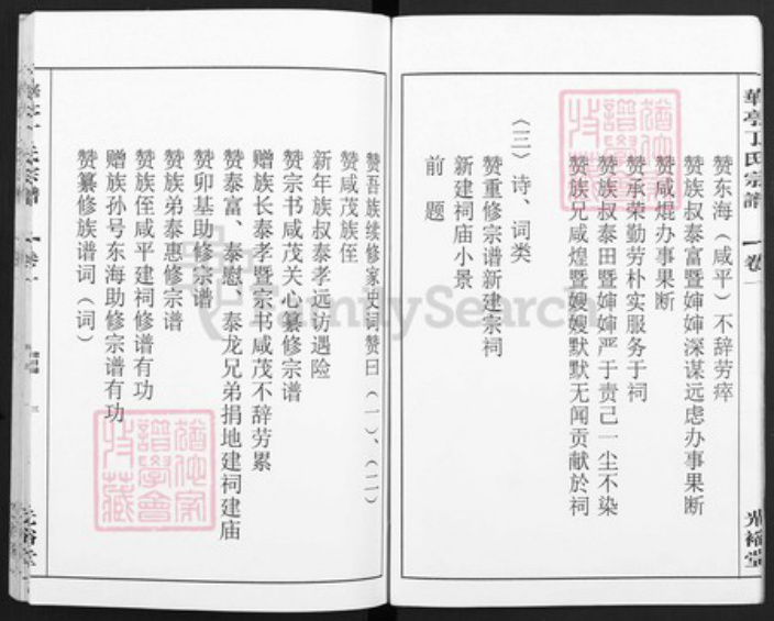 安徽省宣城市安徽省马鞍山市当涂县姑孰镇丁氏光裕堂族谱-华亭丁氏宗谱.pdf电子版插图3