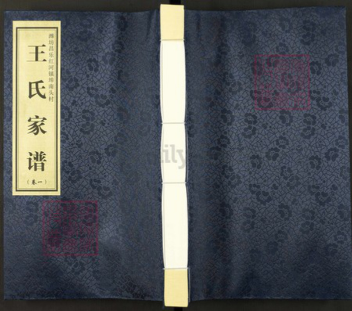山东省潍坊市昌乐县山东省潍坊市昌乐县红河镇王氏族谱-王氏家谱.pdf电子版插图