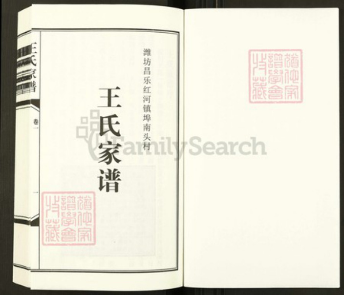 山东省潍坊市昌乐县山东省潍坊市昌乐县红河镇王氏族谱-王氏家谱.pdf电子版插图1