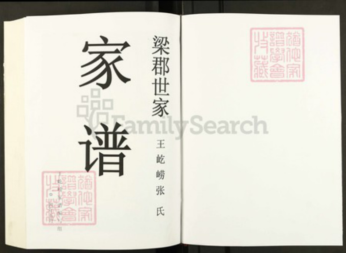 河南省郑州市巩义市张；张氏族谱-张氏家谱.pdf电子版插图1