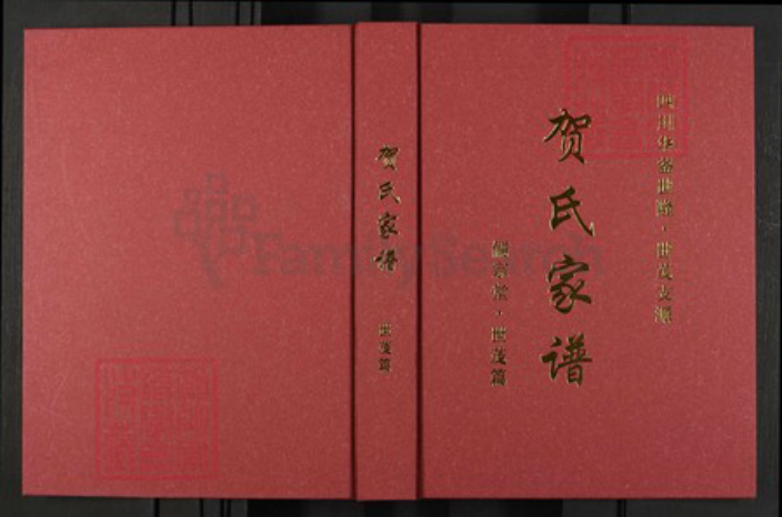四川省绵阳市安县四川省广安市华蓥市贺；贺氏儒宗堂族谱-贺氏家谱.四川华蓥世隆.世茂支派.pdf电子版插图
