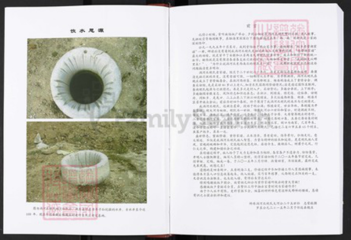 安徽省蚌端口市怀远县魏庄镇安徽省蚌端口市胡氏族谱-胡氏家谱.pdf电子版插图2
