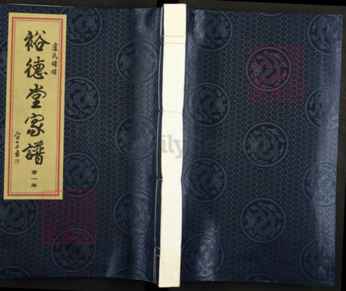 广东省汕尾市陆丰市碣石镇卢氏裕德堂族谱-卢氏牒谱裕德堂家谱.pdf电子版插图