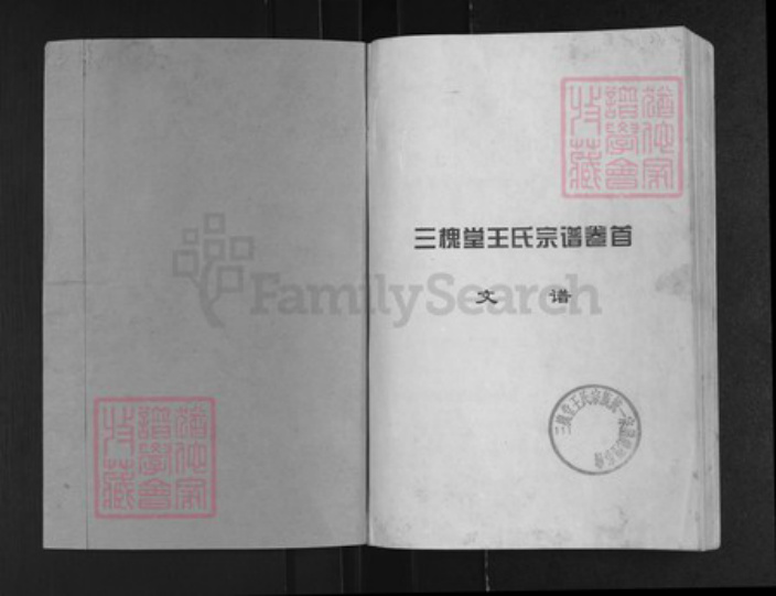 湖北省黄冈市黄州区王氏三槐堂族谱-澴川王氏族谱.pdf电子版插图1