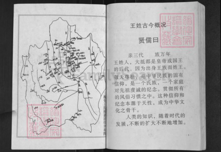 湖北省黄冈市黄州区王氏三槐堂族谱-澴川王氏族谱.pdf电子版插图4
