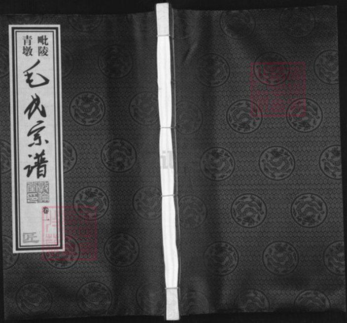 江苏省常州市武进县毛氏敦伦堂族谱-毗陵青墩毛氏宗谱.pdf电子版插图