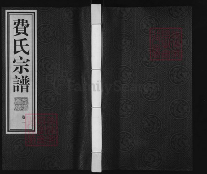 江苏省常州市武进县洛阳镇费氏尚志堂族谱-费氏宗谱.pdf电子版插图