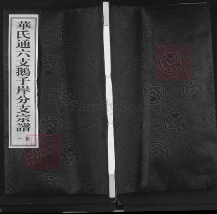 江苏省无锡市锡山区华氏永锡堂族谱-华氏通六支鹅子岸分支宗谱.pdf电子版插图