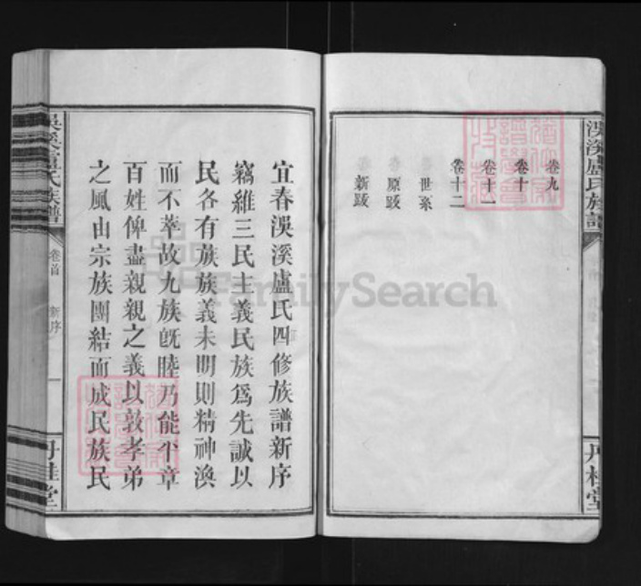 江西省宜春市袁州区卢氏丹桂堂族谱-洖溪卢氏族谱.pdf电子版插图5