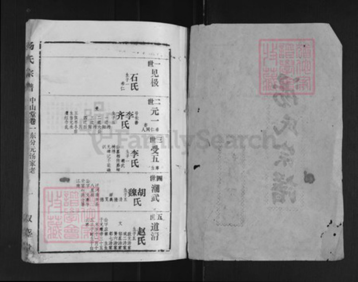 湖北省孝感市汤氏双盛堂族谱-汤氏宗谱.pdf电子版插图1