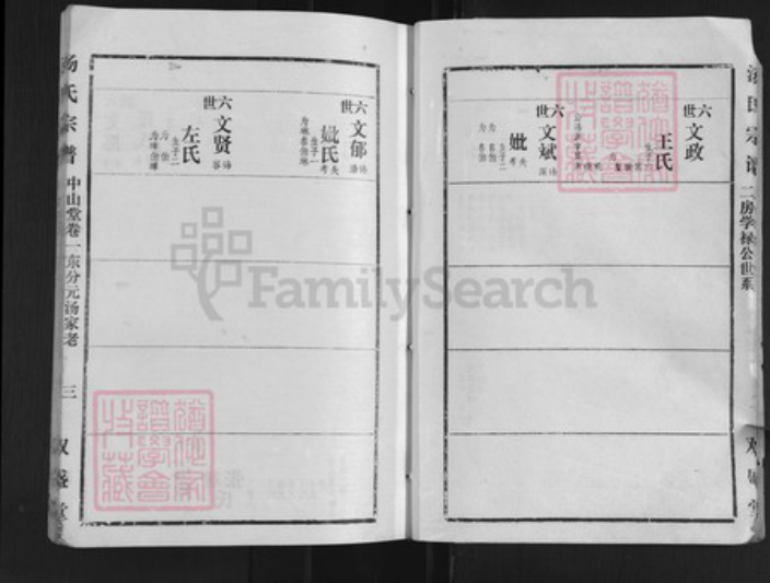 湖北省孝感市汤氏双盛堂族谱-汤氏宗谱.pdf电子版插图3