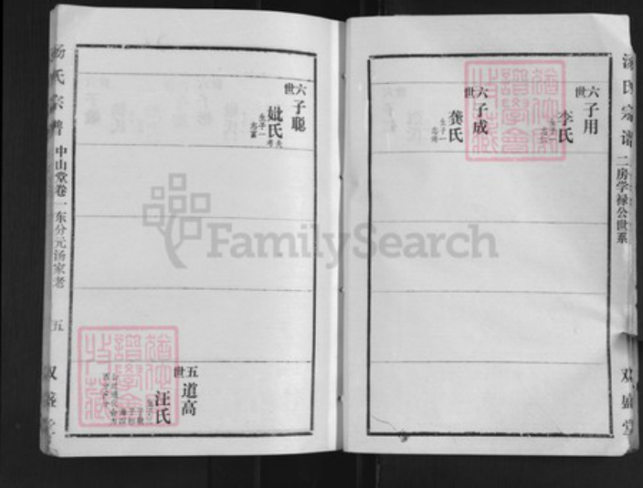 湖北省孝感市汤氏双盛堂族谱-汤氏宗谱.pdf电子版插图5