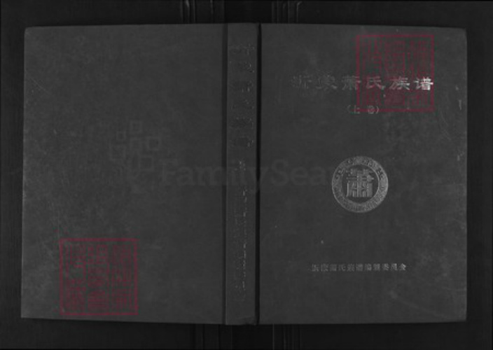 山东省临沂市沂南县依汶镇萧氏兰陵堂族谱-沂蒙萧氏族谱.pdf电子版插图