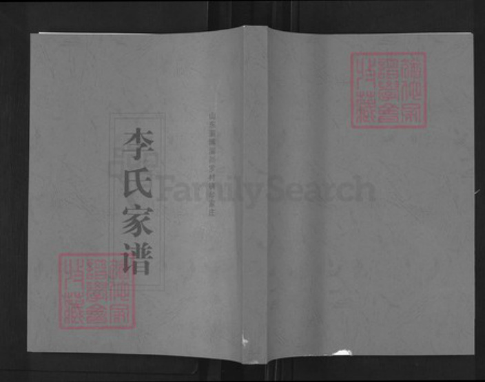 山东省淄博市淄川区李氏族谱-李氏家谱.pdf电子版插图