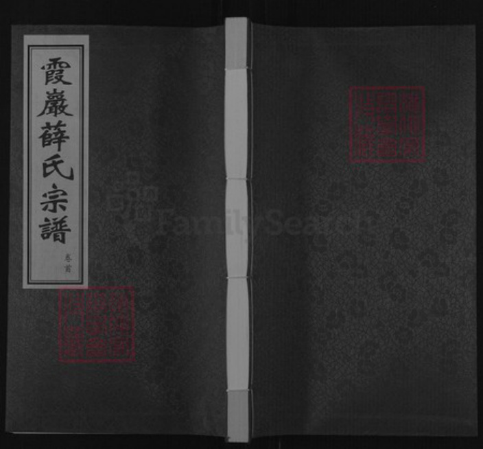 江苏省常州市武进县前黄镇薛氏三凤堂族谱-霞岩薛氏宗谱.pdf电子版插图