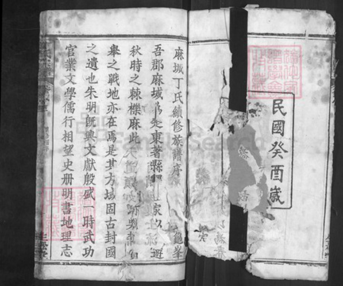 湖北省黄冈市红安县杏花乡湖北省黄冈市麻城市南湖街道丁氏生松堂族谱-丁氏宗谱.pdf电子版插图1
