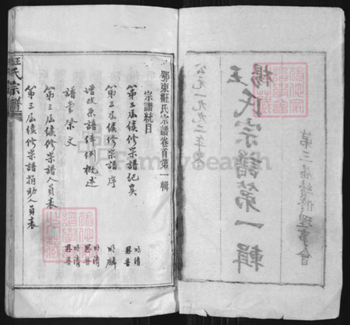 湖北省黄冈市麻城市南湖街道王氏四知堂族谱-王杨氏宗谱.pdf电子版插图2