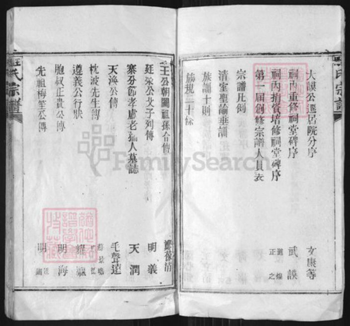湖北省黄冈市麻城市南湖街道王氏四知堂族谱-王杨氏宗谱.pdf电子版插图4