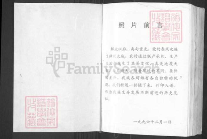 湖北省武汉市黄陂区黄陂王氏三槐堂族谱-王氏宗谱.pdf电子版插图2