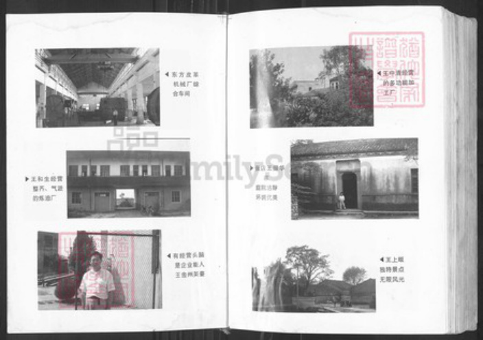 湖北省武汉市黄陂区黄陂王氏三槐堂族谱-王氏宗谱.pdf电子版插图5