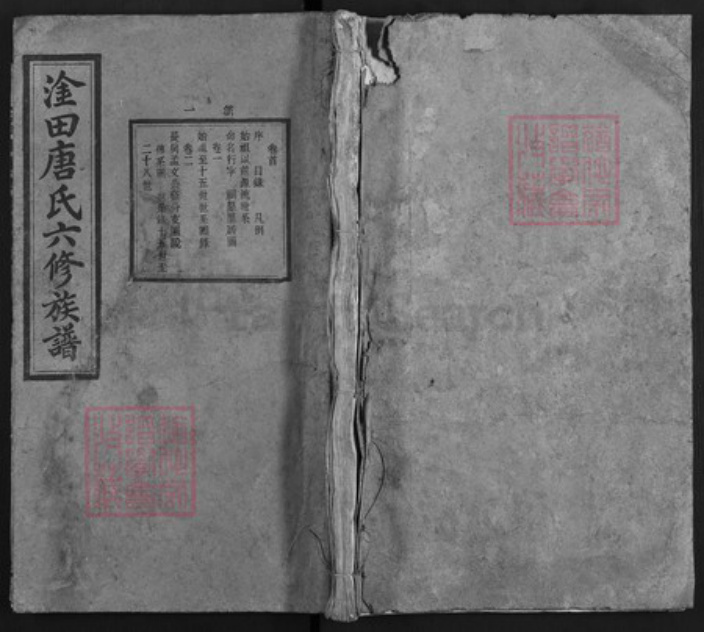 湖南省株洲市渌口区淦田镇唐氏修厡堂族谱-淦田唐氏六修族谱.pdf电子版插图