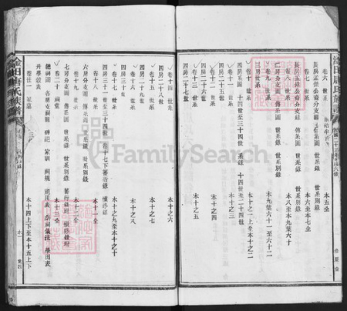 湖南省株洲市渌口区淦田镇唐氏修厡堂族谱-淦田唐氏六修族谱.pdf电子版插图5