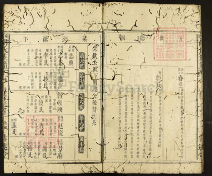 湖南省怀化市黔阳湖南省怀化市洪江市沙湾乡胡氏作述堂族谱-安定胡氏族谱.pdf电子版插图4