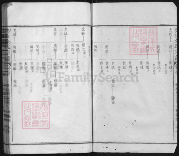 浙江省丽水市遂昌县朱氏族谱-奕山朱氏宗谱.pdf电子版插图2