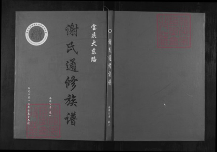 湖南省邵阳市邵东湖南省邵阳市邵东市谢；谢氏宝树堂族谱-谢氏通修族谱.宝庆大东路.pdf电子版插图