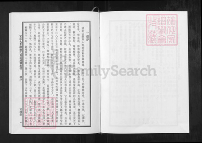 湖南省邵阳市邵东湖南省邵阳市邵东市谢；谢氏宝树堂族谱-谢氏通修族谱.宝庆大东路.pdf电子版插图1