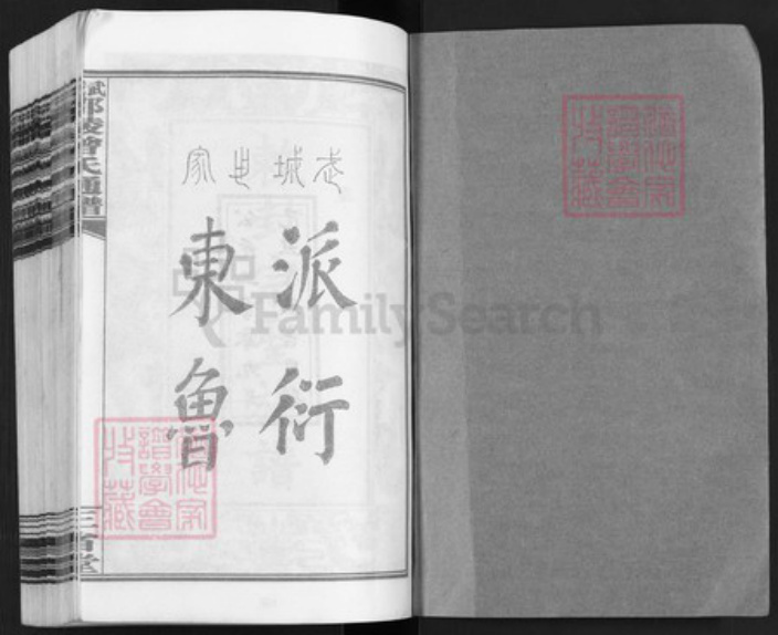 江西省宜春市上高县田心镇曾氏三省堂族谱-武城邵陵曾氏通谱.pdf电子版插图1