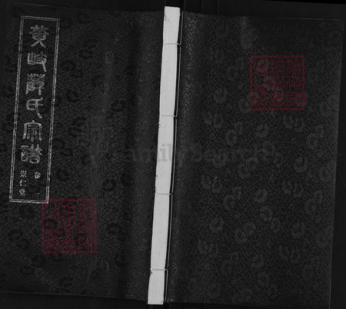 江苏省无锡市江阴市江苏省苏州市张家港市薛氏崇仁堂族谱-黄岐薛氏宗谱.pdf电子版插图