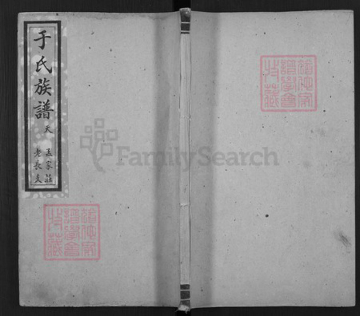 山东省泰安市东平县山东省泰安市于氏族谱-于氏族谱.pdf电子版插图