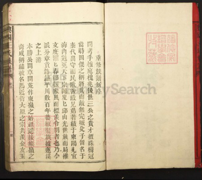 江西省赣州市兴国县王氏族谱-兴国王氏族谱.pdf电子版插图1