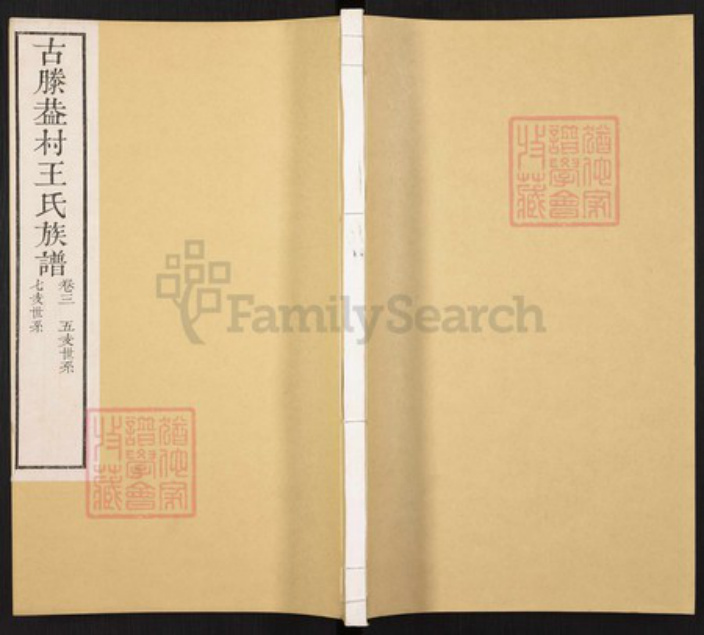 山东省枣庄市滕州市滨湖镇王氏族谱-古滕葢村王氏族谱.pdf电子版插图