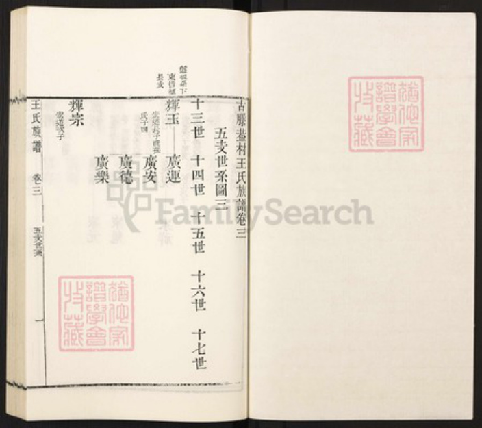 山东省枣庄市滕州市滨湖镇王氏族谱-古滕葢村王氏族谱.pdf电子版插图1