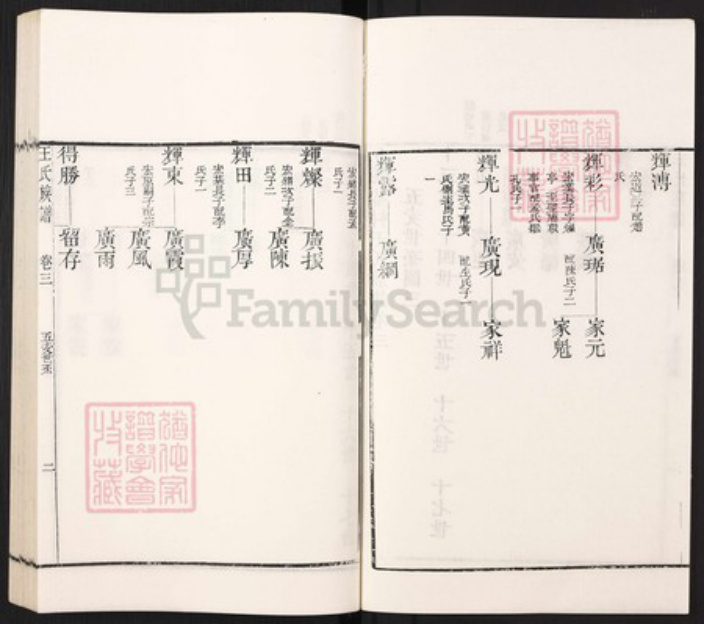 山东省枣庄市滕州市滨湖镇王氏族谱-古滕葢村王氏族谱.pdf电子版插图2