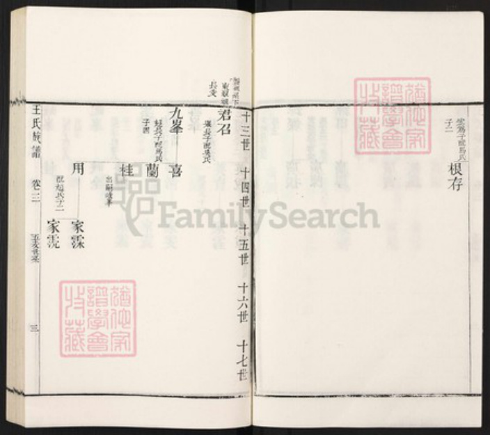 山东省枣庄市滕州市滨湖镇王氏族谱-古滕葢村王氏族谱.pdf电子版插图3