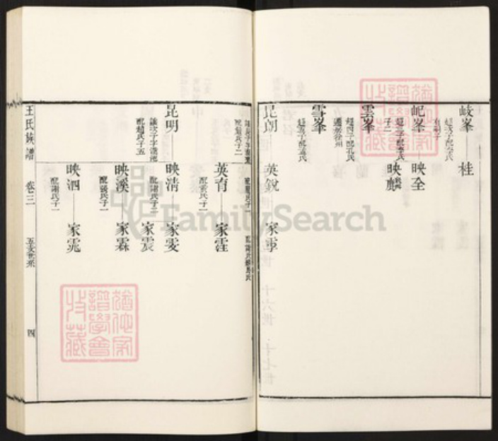 山东省枣庄市滕州市滨湖镇王氏族谱-古滕葢村王氏族谱.pdf电子版插图4