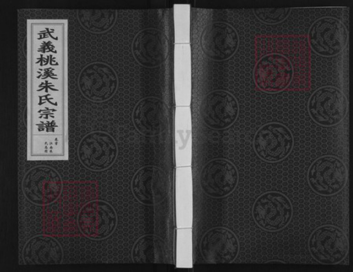 浙江省金华市武义县履坦镇朱氏族谱-武义桃溪朱氏宗谱.pdf电子版插图