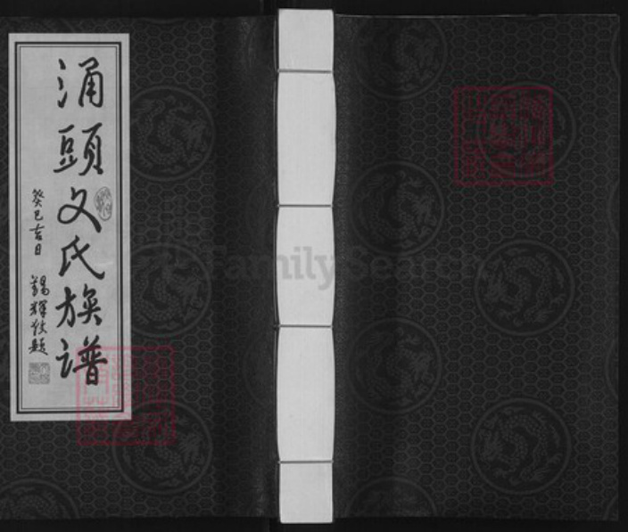 广东省东莞市长安镇文氏信国堂族谱-涌头文氏族谱.pdf电子版插图
