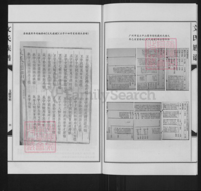 广东省东莞市长安镇文氏信国堂族谱-涌头文氏族谱.pdf电子版插图5