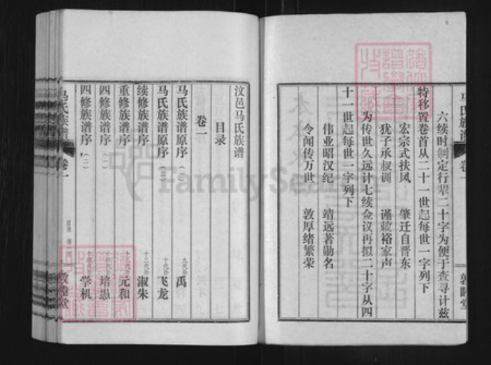 山东省济宁市汶上县次丘镇马氏敦睦堂族谱-汶邑马氏族谱.pdf电子版插图2
